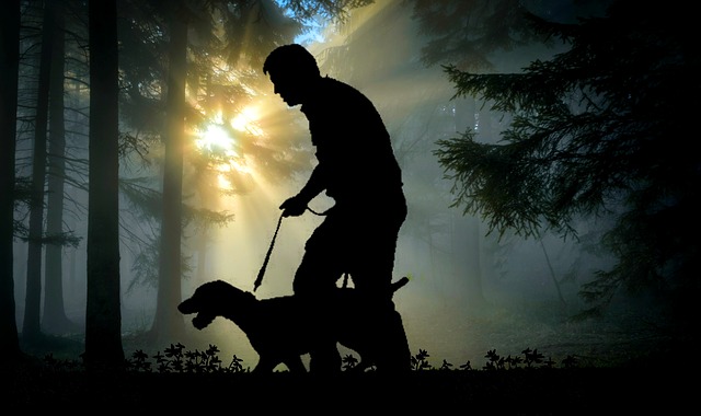 forberede Grøn Flåde Pas godt på din hund på løbeturen - En ny hverdag